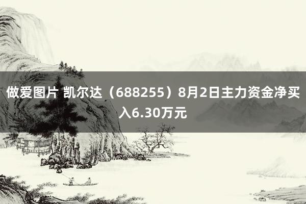 做爱图片 凯尔达（688255）8月2日主力资金净买入6.30万元