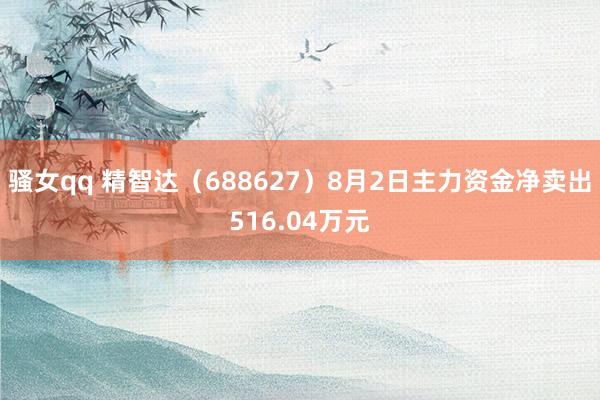 骚女qq 精智达（688627）8月2日主力资金净卖出516.04万元