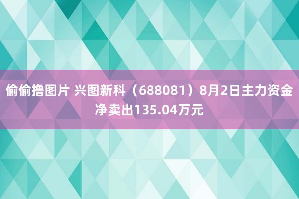 偷偷撸图片 兴图新科（688081）8月2日主力资金净卖出135.04万元