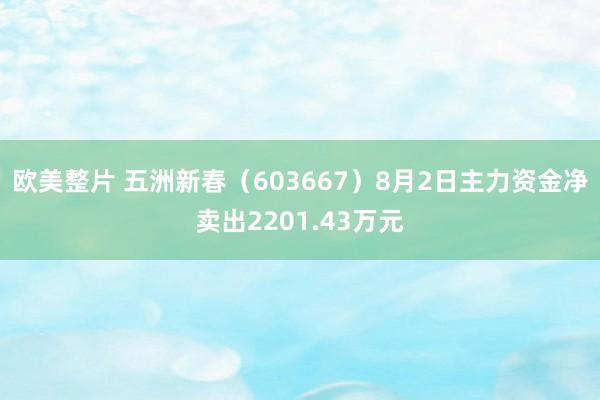 欧美整片 五洲新春（603667）8月2日主力资金净卖出2201.43万元