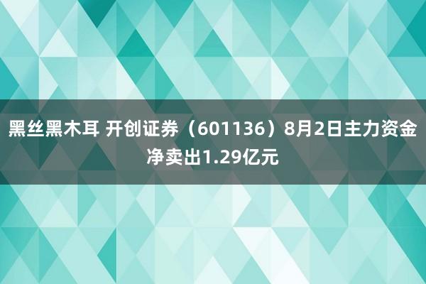 黑丝黑木耳 开创证券（601136）8月2日主力资金净卖出1.29亿元