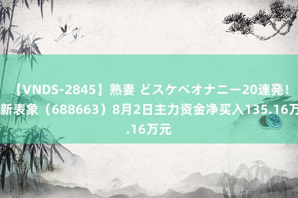 【VNDS-2845】熟妻 どスケベオナニー20連発！！ 新表象（688663）8月2日主力资金净买入135.16万元