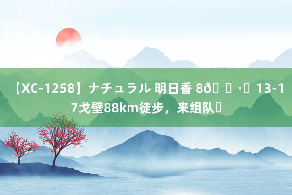 【XC-1258】ナチュラル 明日香 8?️13-17戈壁88km徒步，来组队❓