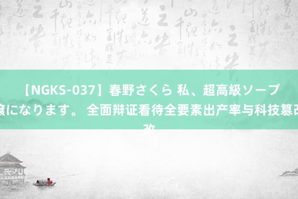 【NGKS-037】春野さくら 私、超高級ソープ嬢になります。 全面辩证看待全要素出产率与科技篡改