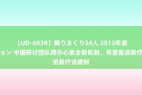 【UD-603R】騎りまくり34人 2013年度バージョン 中国研讨团队揭示心衰全新机制，有望推进新疗法建树