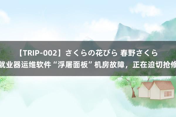 【TRIP-002】さくらの花びら 春野さくら 就业器运维软件“浮屠面板”机房故障，正在迫切抢修