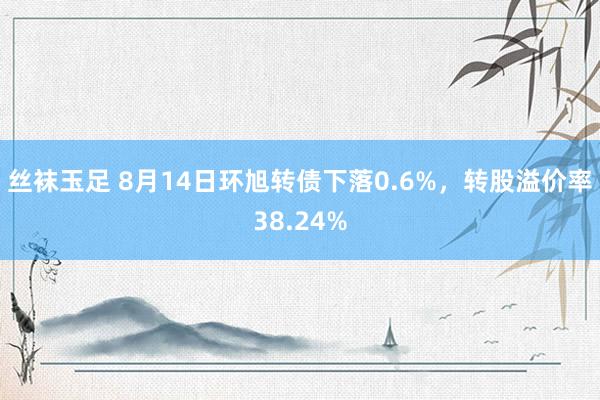 丝袜玉足 8月14日环旭转债下落0.6%，转股溢价率38.24%