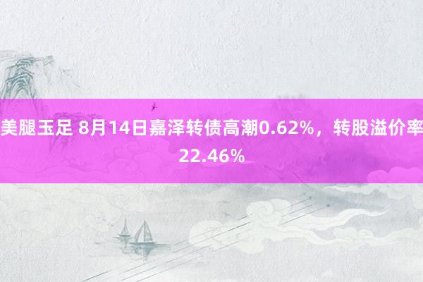 美腿玉足 8月14日嘉泽转债高潮0.62%，转股溢价率22.46%