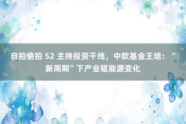 自拍偷拍 52 主持投资干线，中欧基金王培：“新周期”下产业驱能源变化