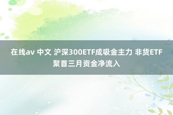 在线av 中文 沪深300ETF成吸金主力 非货ETF聚首三月资金净流入