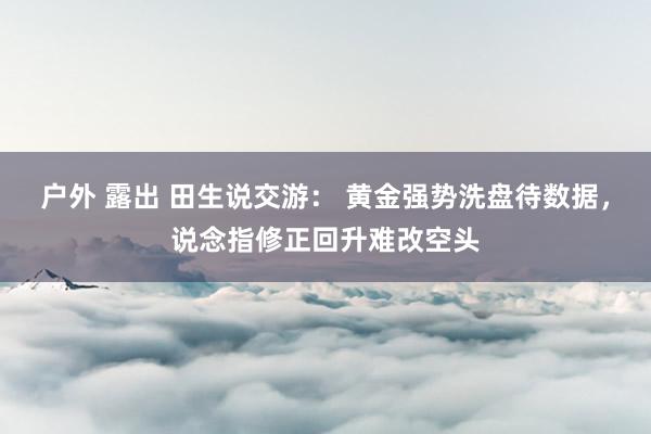 户外 露出 田生说交游： 黄金强势洗盘待数据，说念指修正回升难改空头