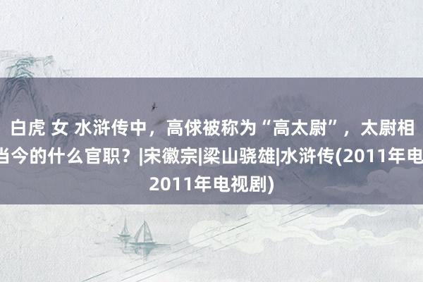 白虎 女 水浒传中，高俅被称为“高太尉”，太尉相当于当今的什么官职？|宋徽宗|梁山骁雄|水浒传(2011年电视剧)