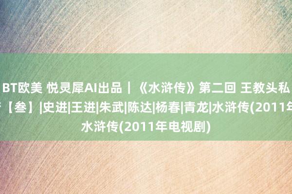 BT欧美 悦灵犀AI出品｜《水浒传》第二回 王教头私走延安府【叁】|史进|王进|朱武|陈达|杨春|青龙|水浒传(2011年电视剧)